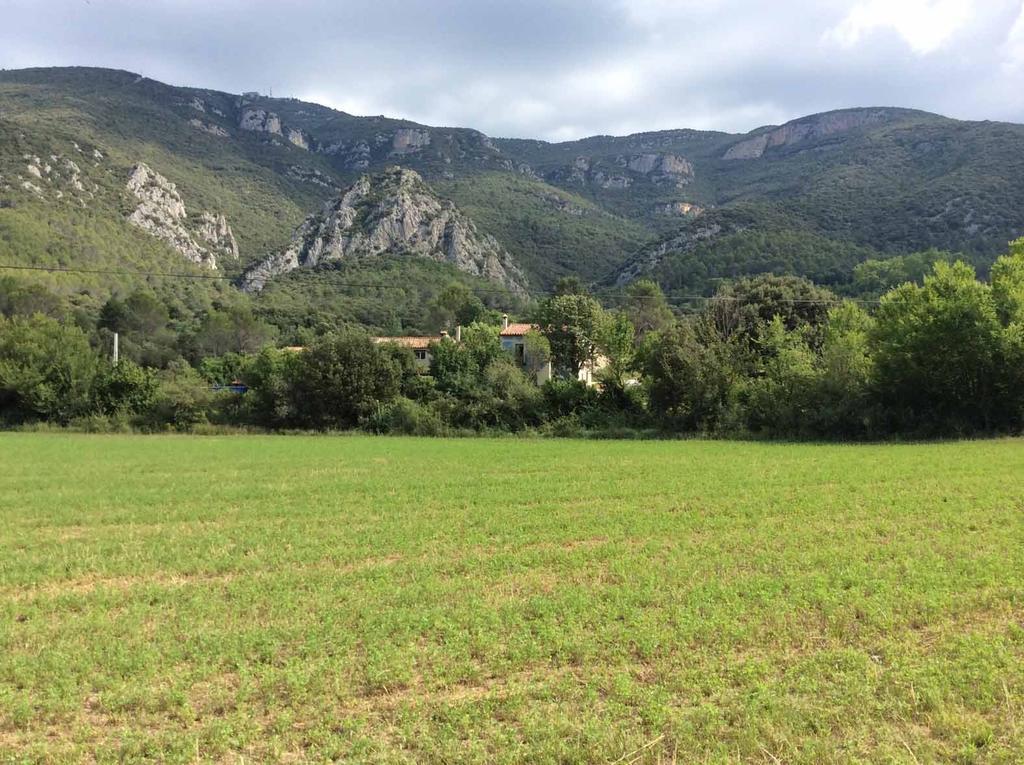 Villa La Casanova De Beuda Esterno foto